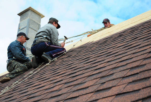 Gutter Installation and Roofing in Dimmitt, TX